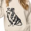 Unique Sitting Shetland Sheepdog Drawing