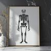 Standing Skeleton Digital Art - Free PNG