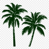 Free Unique Palm Tree - Free DXF Download, Commercial Use