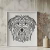 Unique Havanese - Cricut PDF