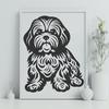 Unique Sitting Havanese Vector Drawing