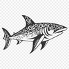 Beautiful Shark In DXF Free Commercial Use Download