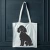 Sitting Poodle Vector Image - Free PNG