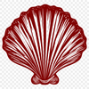 Free Unique Seashell Digital Artwork SVG - Commercial Use