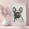 Beautiful French Bulldog Vector Art - Free SVG