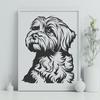 Unique Havanese Vector Craft File DXF - Free Download