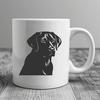 Beautiful Labrador Retriever - For Pet Project