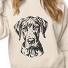 Stunning Great Dane In SVG - Free Digital Download