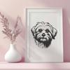 Havanese Illustration In SVG, PNG, PDF And DXF Formats