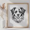 Stunning Australian Shepherd - Sublimation PNG