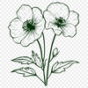 Unique Flower Digital Drawing DXF - Free Download