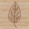 Beautiful Nature Leaf Illustration A detailed illustration of a single leaf with veins and edges, suitable for vector graphics design.