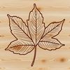 An illustrative vector representation of a single leaf with detailed veins and edges.