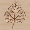 Nature's Delight: A Beautiful Leaf Illustration A detailed illustration of a single leaf with varying shapes and textures.