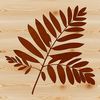 A digital vector illustration of a single leaf with intricate details.