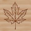 A single green leaf with veins and edges, suitable as vector art for design projects.