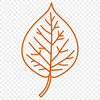 A high-resolution digital illustration of a leaf with detailed contours and veins.
