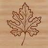 Intricate Leaf Clip Art A detailed illustration of a single leaf with intricate details, suitable for vector art designs.