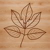 Delicate Green Leaf Illustration A single green leaf with intricate veins and edges, suitable for graphic design and cutting machine projects.