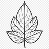 Free Vector Greenery Graphic An illustration of a single leaf with detailed veins and edges.