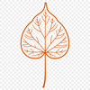 Beautiful Vector Leaf Design An illustrated leaf design created using vector graphics.