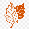 A delicate single leaf illustration. A stylized illustration of a single leaf with detailed veins.