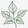 A simple leaf illustration in vector format, suitable for cutting machines like Cricut or laser cutters.
