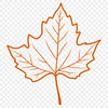 Free Vector Leaf Graphic Design A detailed digital representation of a single leaf in various shapes and sizes.