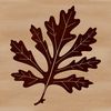 Detailed Green Leaf Clip Art A detailed digital illustration of a single green leaf with veins.