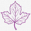 A green leaf shape with veins, suitable for graphic design and digital cutouts.