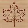 A detailed vector illustration of a single maple leaf with veins and edges accurately rendered.