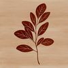 A stylized illustration of a single leaf with veins and texture.