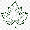 Delicate Maple Leaf Illustration A detailed illustration of a maple leaf with intricate veins and edges.