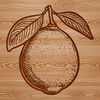 Free Clip Art Lemon Vector Image A colorful illustration of a lemon fruit, suitable for vector art and graphic design projects.