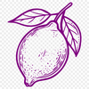 Beautiful Fruit In DXF - For Free Download, Commercial Use