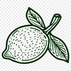 Lemon Vector Craft File In PNG & SVG - Free Digital Download