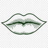Human Lip Anatomy Illustration A detailed illustration of the human lip anatomy, created as a vector graphic.