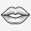 Beautiful Lip Illustration SVG File Anatomical illustration of the human lips in vector format.