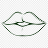 Beautiful Anatomy Drawing A detailed illustration of human anatomy, specifically the shape and contours of the upper and lower lips.