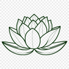 Lotus Flower Graphic Design A detailed illustration of the Lotus flower in various stages of growth.