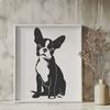 Sitting Dog Breed Iconography A sitting Boston Terrier breed dog in vector format, suitable for various design applications.