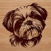 Lovely Shih Tzu Illustration An illustration of a Shih Tzu's head, suitable for use in digital design projects.