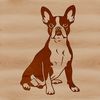 A Boston Terrier sitting on its hind legs, depicted as a vector illustration.