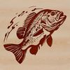 SVG Crappie Graphics Free Download An illustration of a Crappie fish in its natural habitat.