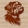 Shih Tzu Face Illustration with Texture Close-up illustration of a Shih Tzu's head with fur texture.
