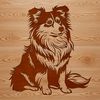 Sitting Sheltie Illustration A Shetland Sheepdog in a sitting position.