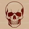 Dark Magic Skull Design Vector Art A dark, gothic illustration of witchcraft elements, featuring a skull with mystical symbols.