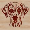Canine Portrait in Vector Format A close-up view of a large dog's head with distinctive wrinkles.