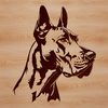 Large Breed Dog Head Vector Design Close-up illustration of a Great Dane's head, suitable for vector design.