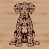 Beautiful Large Breed Dog Icon A large breed dog, the Great Dane, sitting with its head held high.